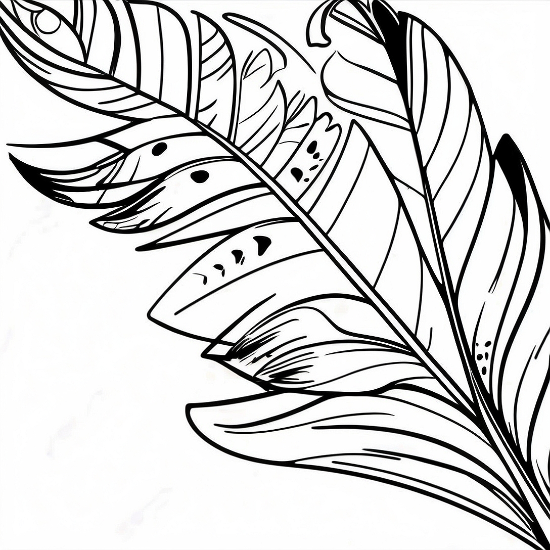 Colorful Turkey Feather Coloring Page | Turkey Feather coloring page