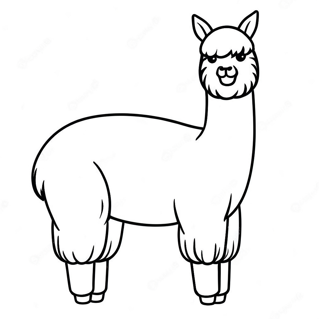 Alpaca Coloring Page | Alpaca coloring page