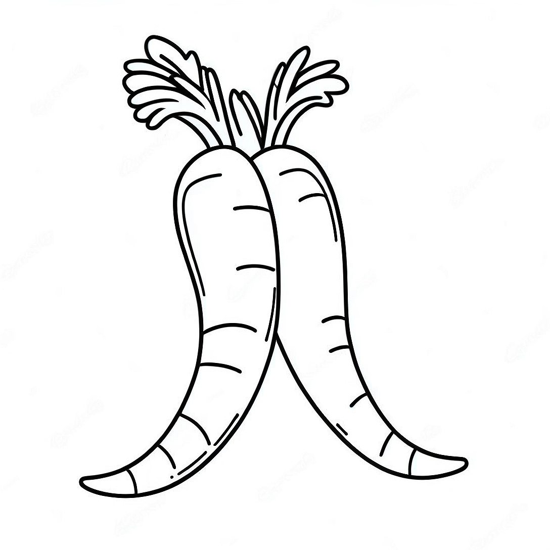 Carrot Coloring Page | Carrot coloring page