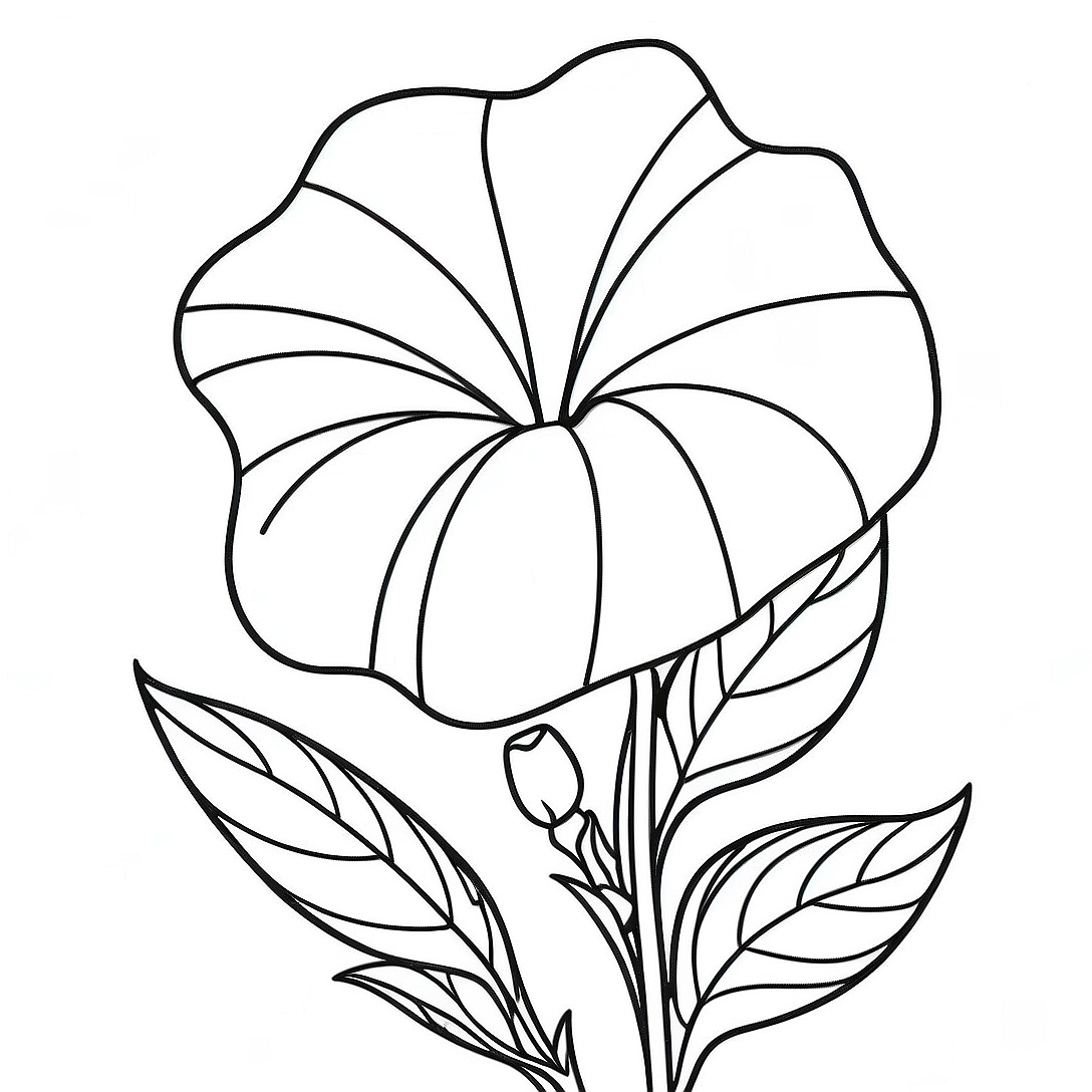 Morning Glory Flower Coloring Page | Morning Glory coloring page