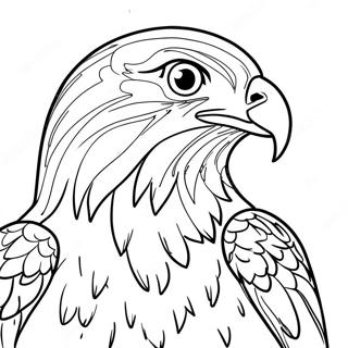 Hawk Coloring Page | Hawk 塗色頁