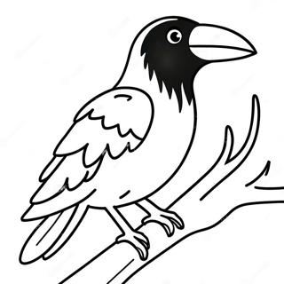 Crow Coloring Page | Crow 塗色頁