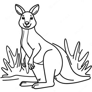 Kangaroo Coloring Page | Kangaroo 塗色頁