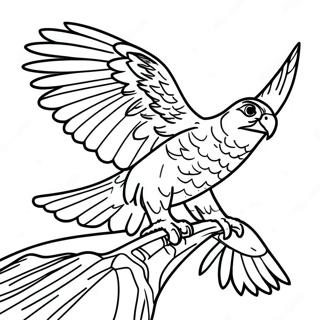 Peregrine Falcon Coloring Page | Peregrine Falcon 塗色頁