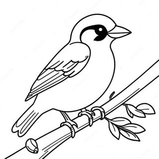 Orioles Coloring Page | Orioles 塗色頁