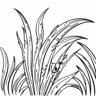 Grass Coloring Page | Grass 塗色頁