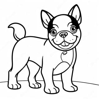 Playful Boston Terrier Coloring Page | Boston Terrier 塗色頁
