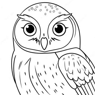 Hedwig the Owl Coloring Page | Hedwig 塗色頁