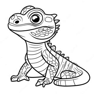 Bearded Dragon Coloring Page | Bearded Dragon 塗色頁