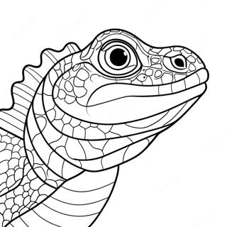 Reptile Coloring Page | Reptile 塗色頁