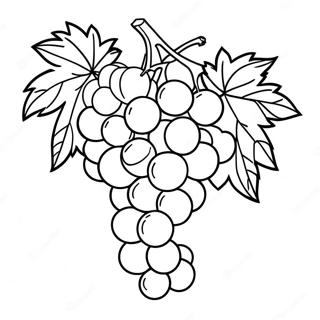 Grape Coloring Page | Grape 塗色頁
