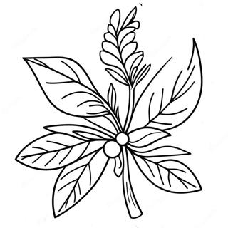 Mistletoe Coloring Page | Mistletoe 塗色頁