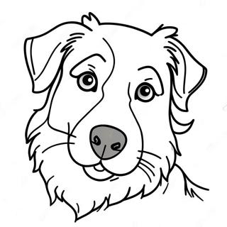 Australian Shepherd Coloring Page