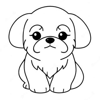 Shih Tzu Puppy Coloring Page | Shih Tzu 塗色頁