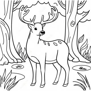 Buck Deer in a Forest Coloring Page | Buck 塗色頁