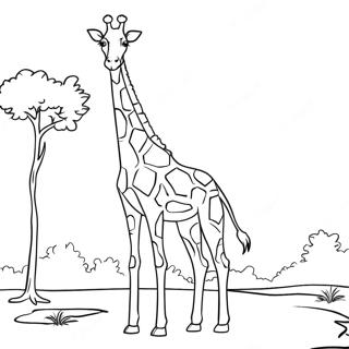 Majestic Giraffe Standing Tall Coloring Page | Realistic Giraffe 塗色頁