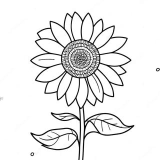 Colorful Kansas Sunflower Coloring Page | Kansas Day 塗色頁