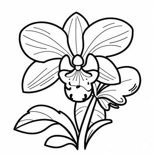 Beautiful Orchid in Bloom Coloring Page | Orchid 塗色頁