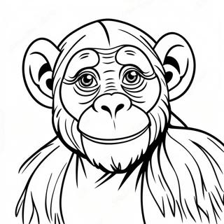 Chimpanzee Coloring Page | Chimpanzee 塗色頁