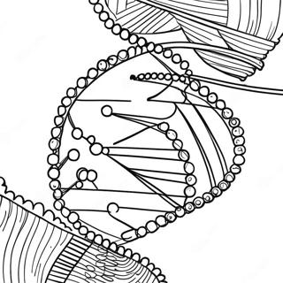DNA Structure Coloring Page | DNA 塗色頁