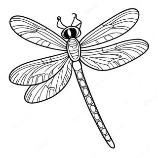 Dragonfly Coloring Page | Dragonfly 塗色頁