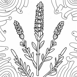 Lavender Flower Coloring Page | Lavender 塗色頁