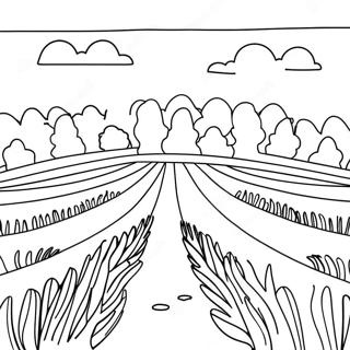 Beautiful Lavender Field Coloring Page | Lavender 塗色頁