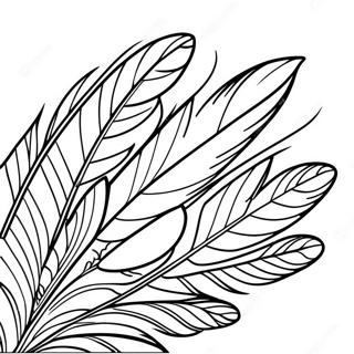 Turkey Feather Coloring Page | Turkey Feather 塗色頁