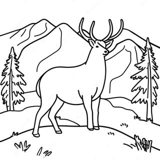 Montana Wildlife Coloring Page | Montana 塗色頁