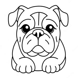 Bulldog Coloring Page | Bulldog 塗色頁
