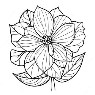 Hydrangea Flower Coloring Page | Hydrangea 塗色頁