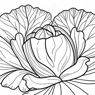 Lettuce Coloring Page | Lettuce 塗色頁