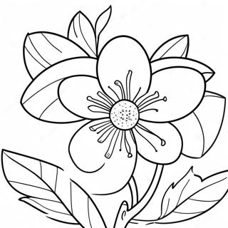 Orange Blossom Flower Coloring Page | Orange Blossom 塗色頁