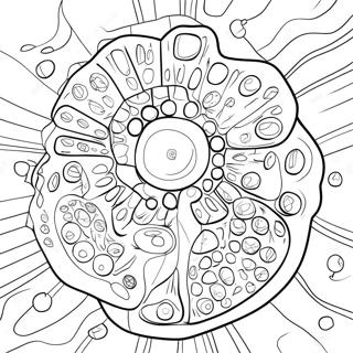 Cell Structure Coloring Page | Cell 塗色頁