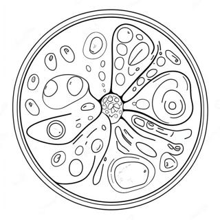 Plant Cell with Colorful Organelles Coloring Page | Cell 塗色頁