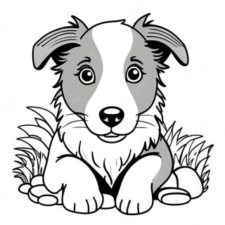Border Collie Puppy Coloring Page | Border Collie 塗色頁