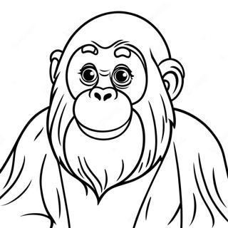 Orangutan Coloring Page | Orangutan 塗色頁