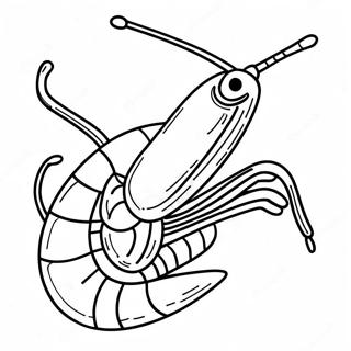 Shrimp Coloring Page | Shrimp 塗色頁