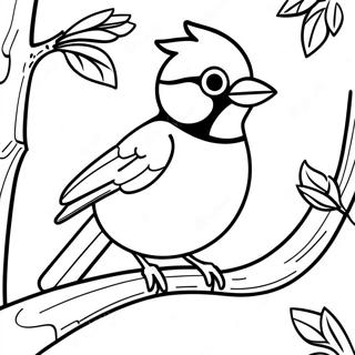 Colorful Blue Jay in a Tree Coloring Page | Blue Jay 塗色頁