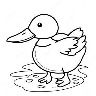 Mallard Duck Coloring Page | Mallard Duck 塗色頁