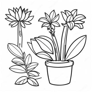 Parts of a Plant Coloring Page | Parts of a Plant 塗色頁