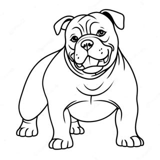 American Bully Dog Coloring Page | American Bully 塗色頁