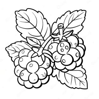 Raspberry Fruit Coloring Page