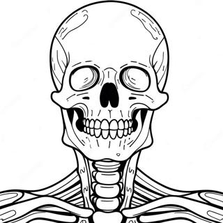 Skeletal System Anatomy Coloring Page | Skeletal System 塗色頁