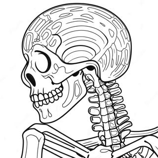 Human Skeleton Detailed Coloring Page | Skeletal System 塗色頁