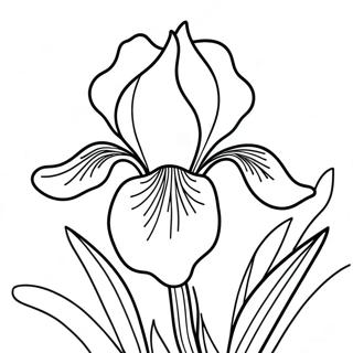 Iris Flower Coloring Page | Iris 塗色頁