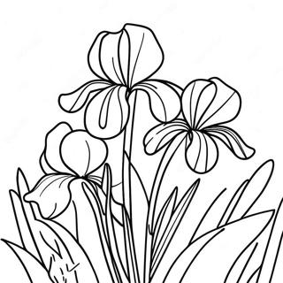 Beautiful Iris Garden Coloring Page | Iris 塗色頁