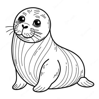 Seal Coloring Page | Seal 塗色頁