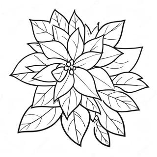 Christmas Poinsettia Coloring Page | Christmas Poinsettia 塗色頁