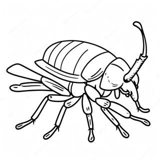 Cockroach Coloring Page | Cockroach 塗色頁